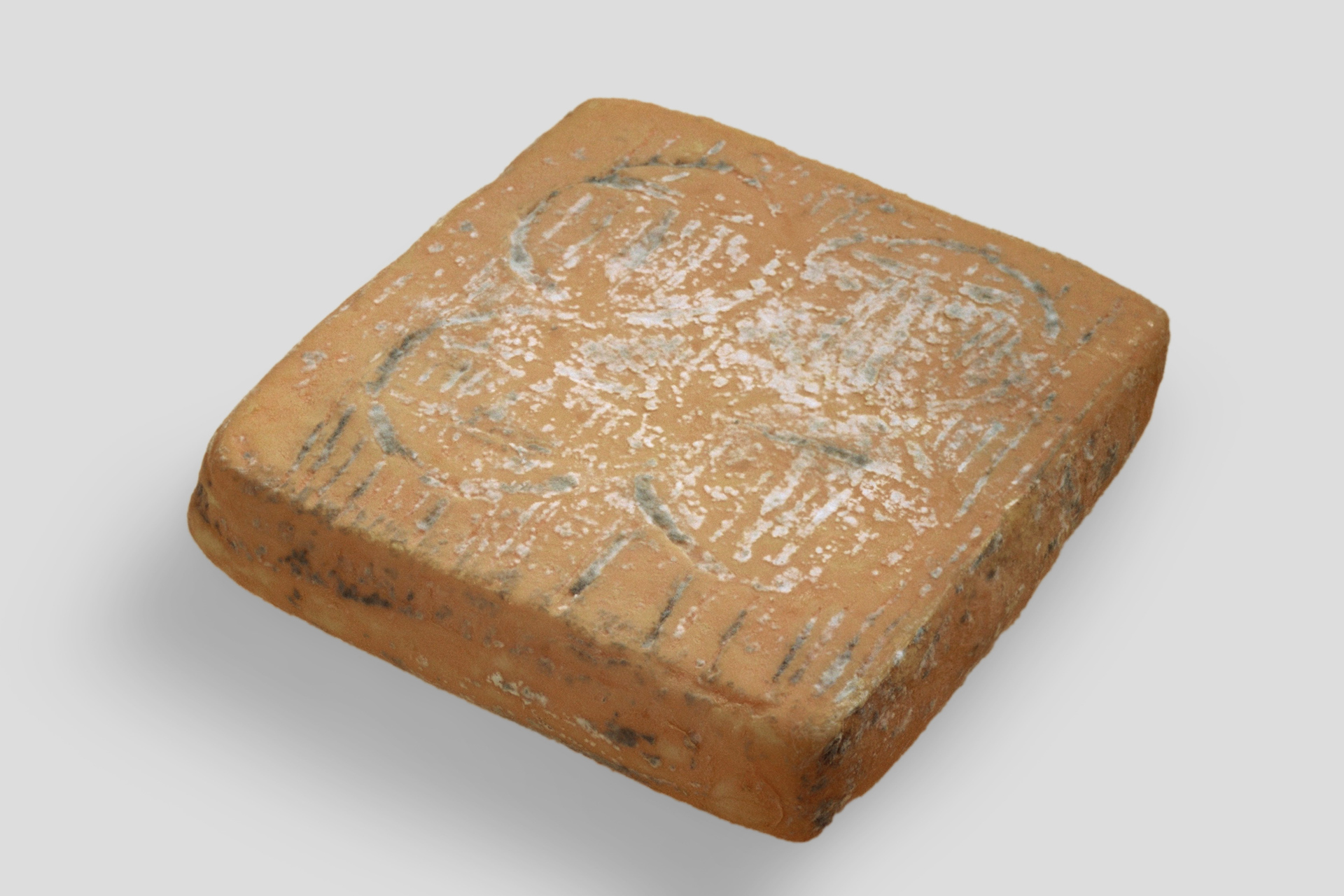 Taleggio